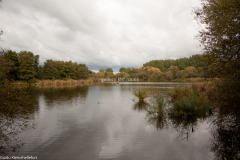 Karower Teiche