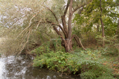Karower Teiche